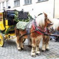 A stagecoach tour of Nuremberg (1186 visits) One of the things to do in Nuremberg at Christmas time is to take a ride on this yellow stagecoach. ... A stagecoach tour of Nuremberg